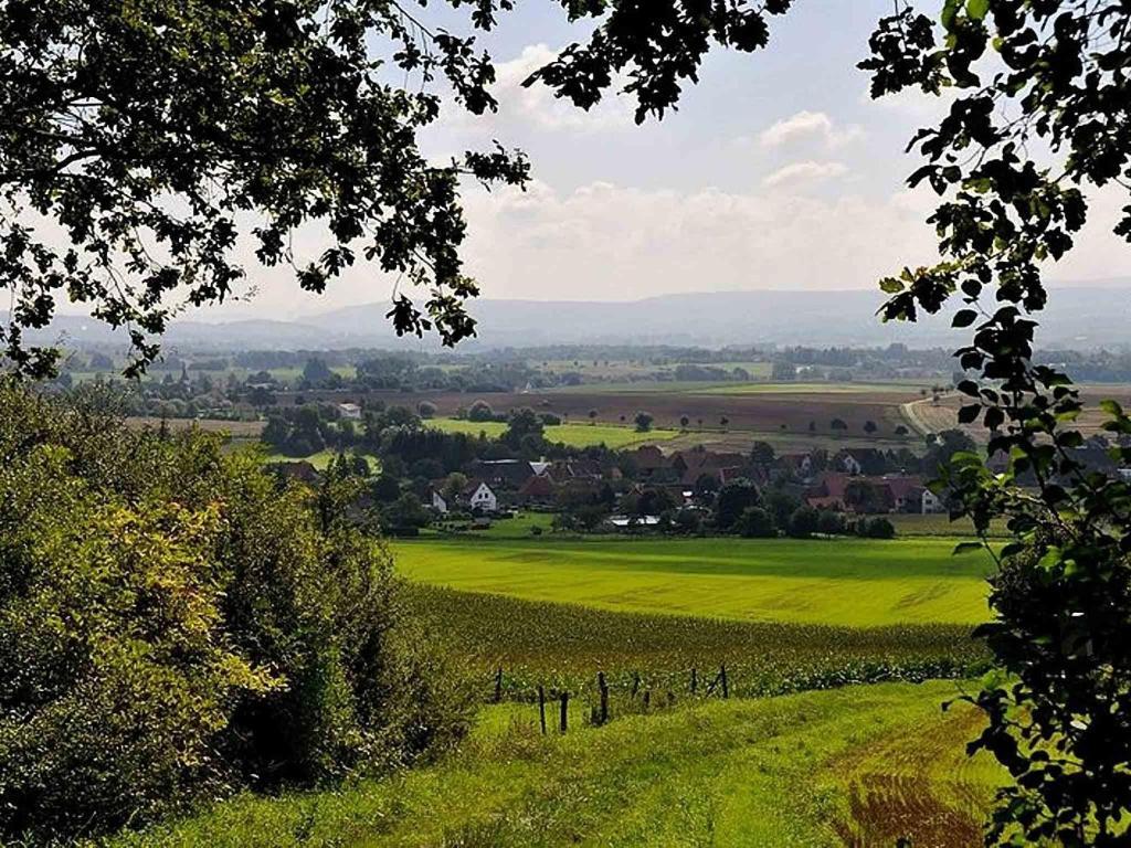Hotel Weinschanke Rohdental Hessisch Oldendorf Exteriör bild