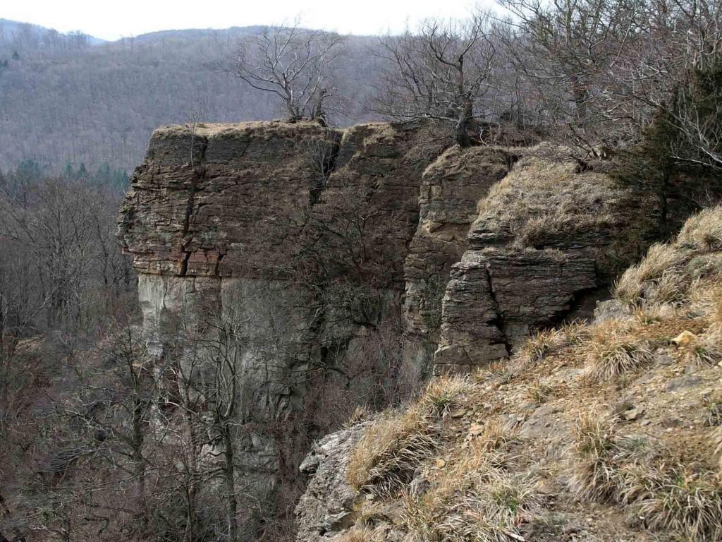 Hotel Weinschanke Rohdental Hessisch Oldendorf Exteriör bild